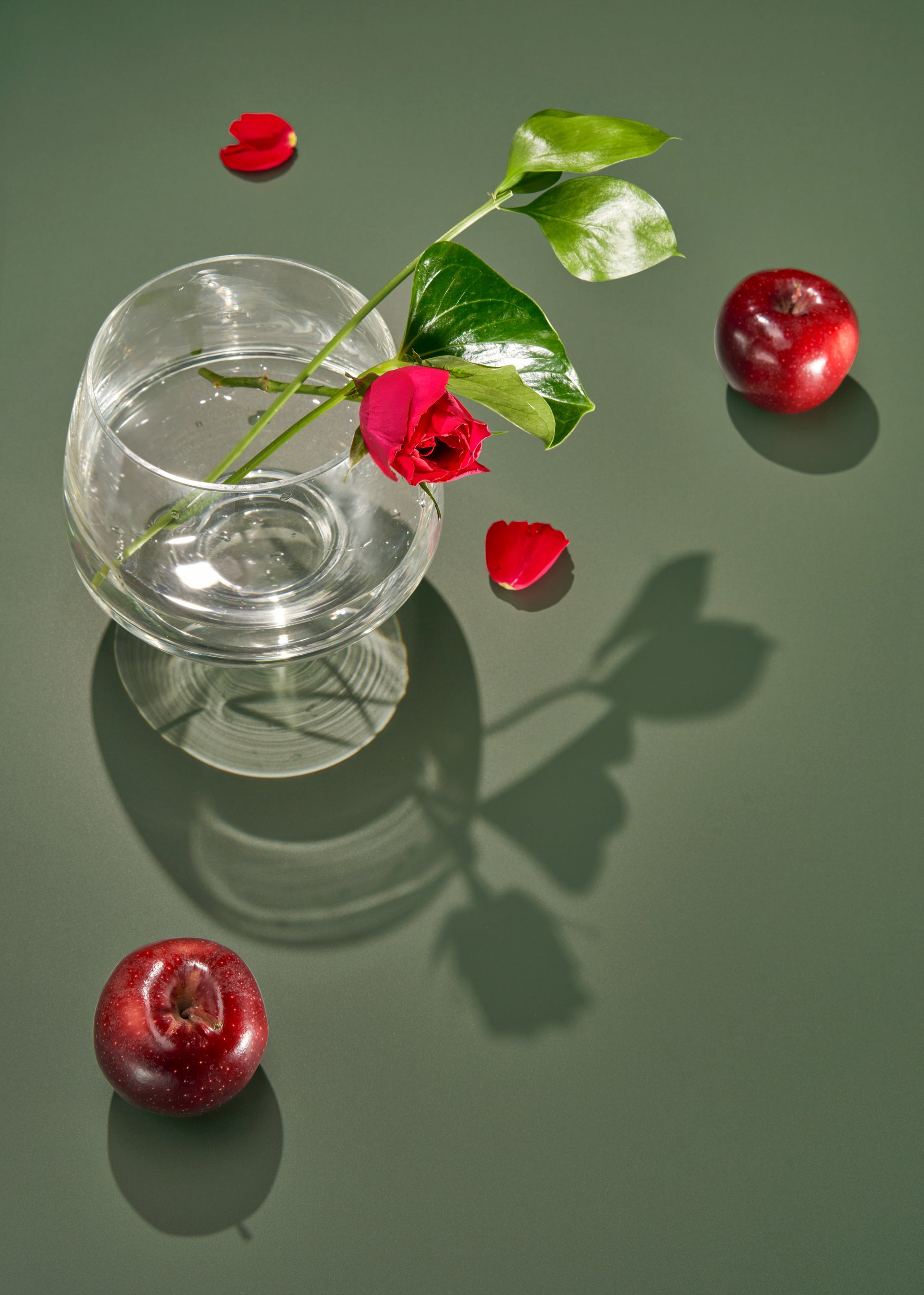 Daintree Vinyl Photography Backdrop by Club Backdrops